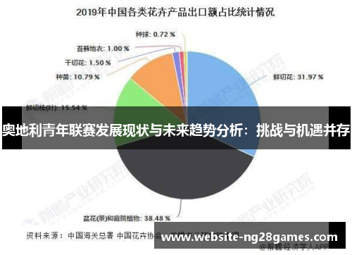 奥地利青年联赛发展现状与未来趋势分析：挑战与机遇并存